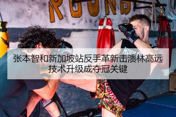 张本智和新加坡站反手革新击溃林高远 技术升级成夺冠关键